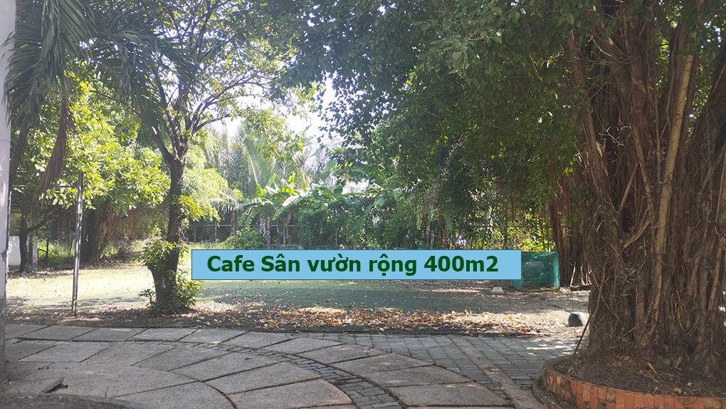 Chính Chủ Cần Cho Thuê Văn Phòng, Kho Hàng Và Cafe Sân Vườn Vị Trí Đẹp Tại TP Hồ Chí Minh 14193882