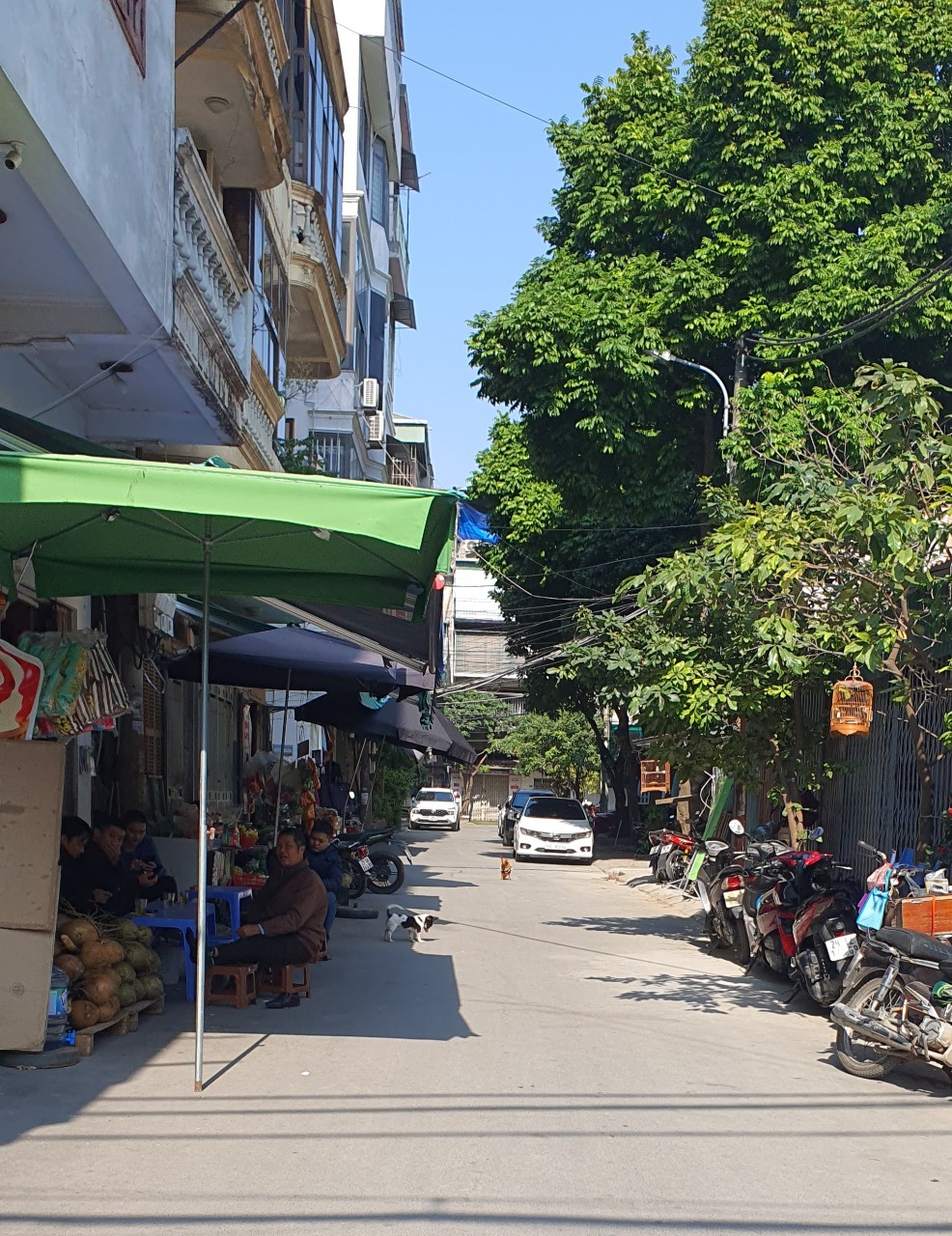 Bán đất Phú Mỹ, Mỹ Đình, sđcc 76m, mt 6m, đường thông ô tô, kd đỉnh, giá 8.7 tỷ có tl, 0974 687 037 14194275