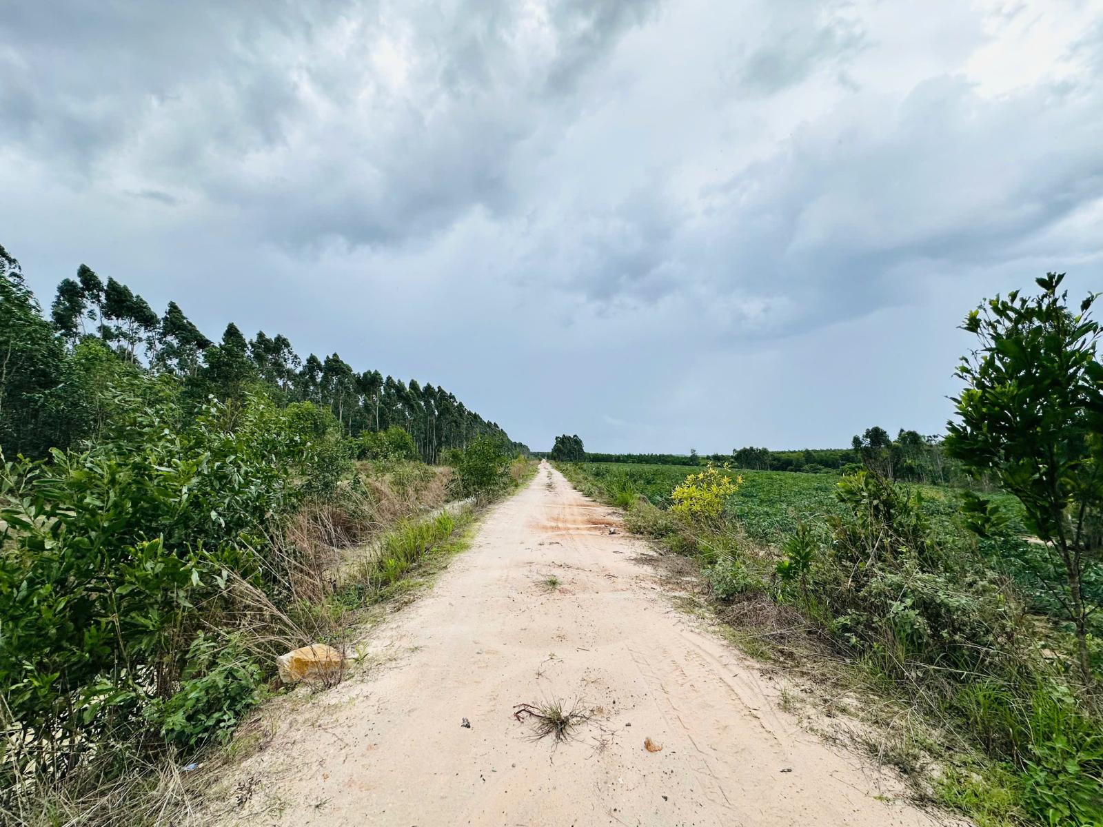 Bán 1 sào đất Tân Bình - LaGi chỉ 700 triệu đường 10m cách 719 chỉ 800m 15975274