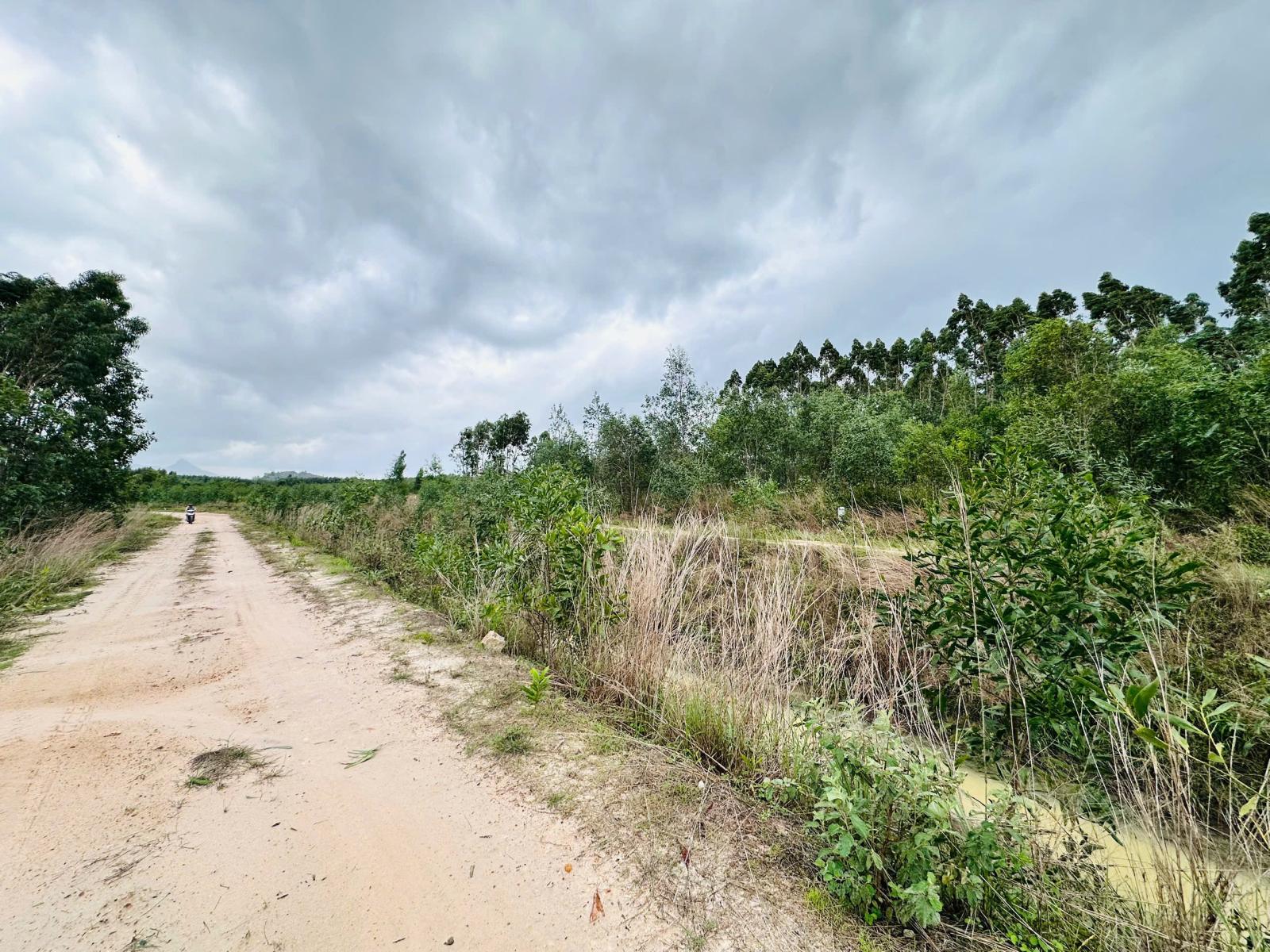 Bán 1 sào đất Tân Bình - LaGi chỉ 700 triệu đường 10m cách 719 chỉ 800m 15975274