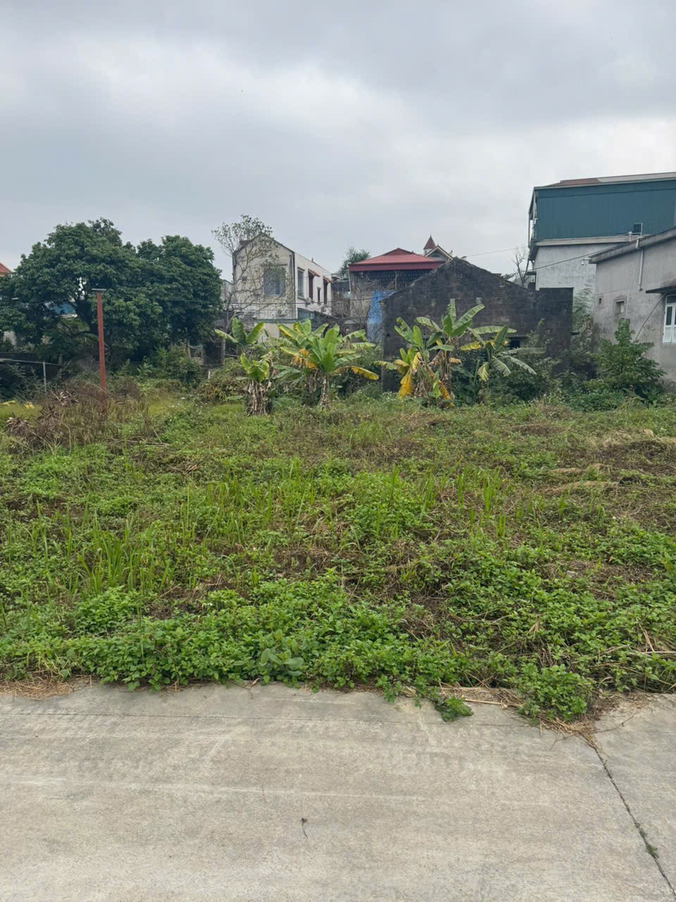 ĐẤT CHÍNH CHỦ - GIÁ TỐT CẦN BÁN NHANH LÔ ĐẤT tại TP Uông Bí tỉnh Quảng Ninh 15975352