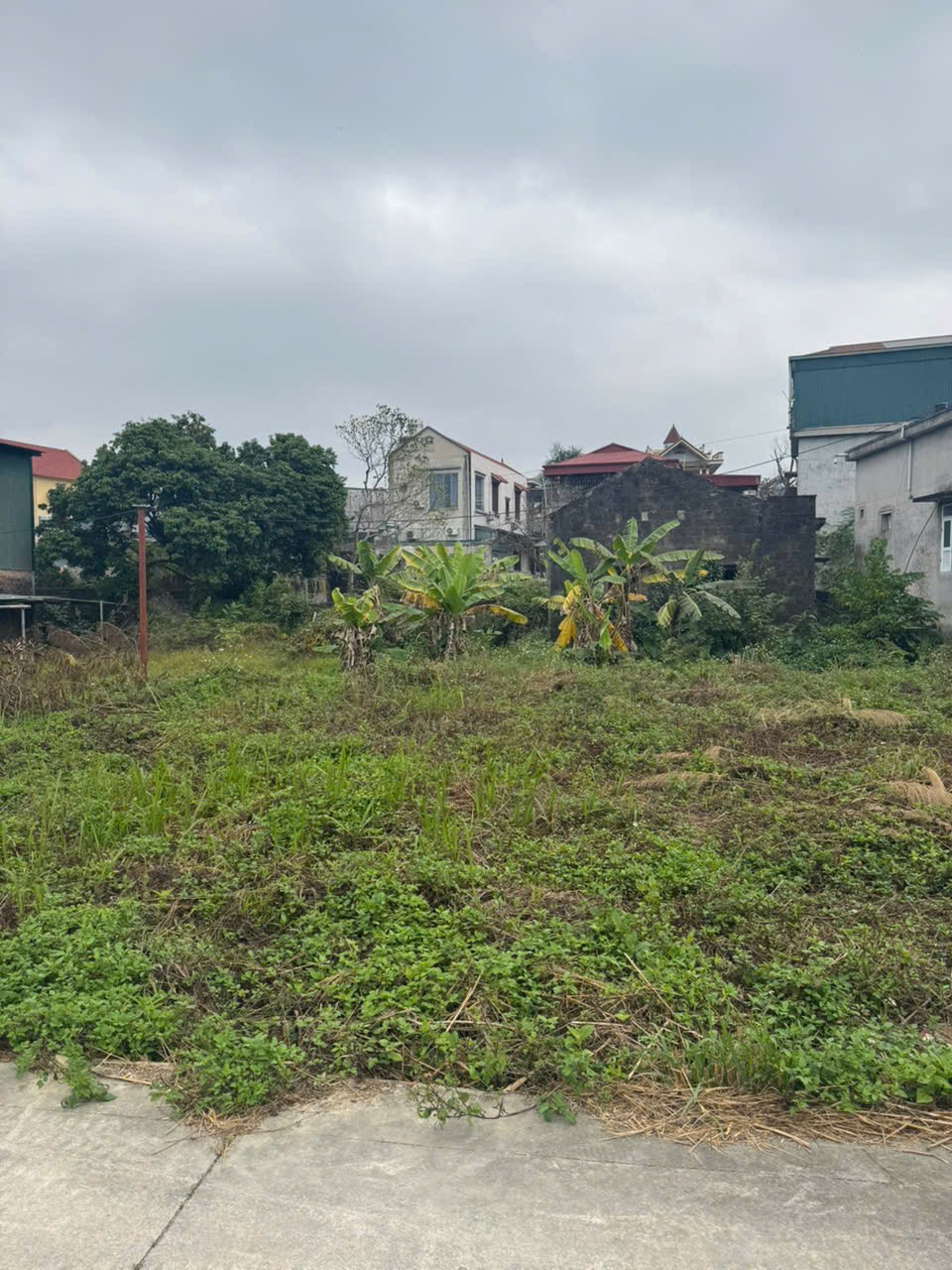 ĐẤT CHÍNH CHỦ - GIÁ TỐT CẦN BÁN NHANH LÔ ĐẤT tại TP Uông Bí tỉnh Quảng Ninh 15975352