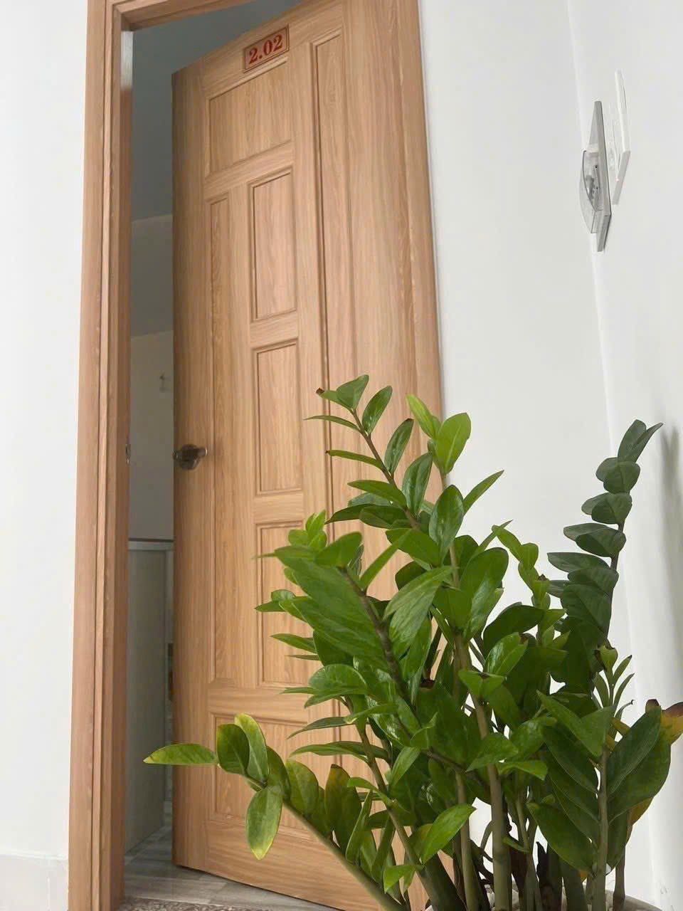 Hàng Hiếm Phước Long B Q9- 5,1 Tỷ--HXH Thông-4m x 14m-Gần Chợ-Sổ Riêng-An Ninh 15975354