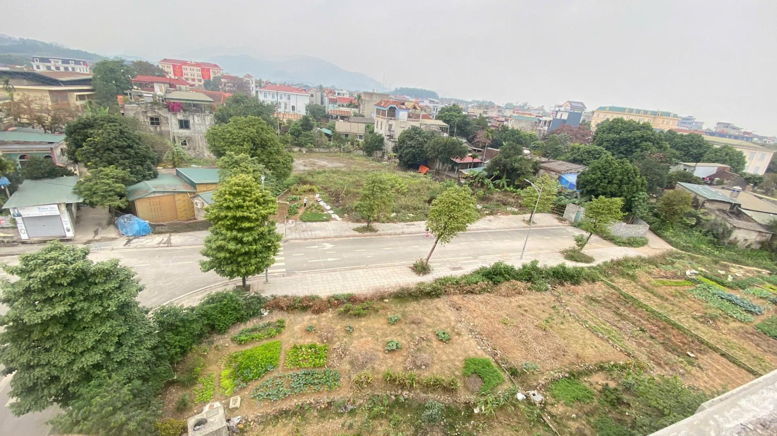 Bán gấp lô 86m2 sẵn sổ đỏ 2 mặt tiền giá đầu tư, đất đô thị trung tâm TT Lương Sơn (BP sang sổ) 15975407