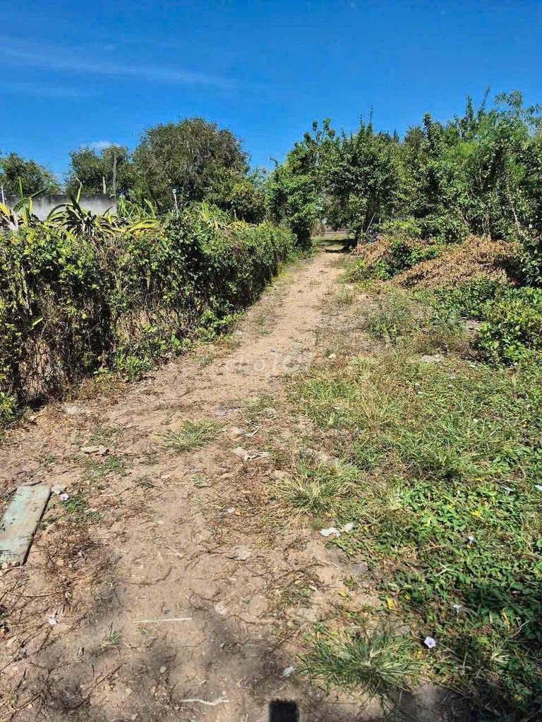 ĐẤT ĐẸP – GIÁ ĐẦU TƯ  - CẦN BÁN LÔ ĐẤT VỊ TRÍ ĐẸP TẠI Xã Hải Ninh, Huyện Bắc Bình, Bình Thuận 15975440