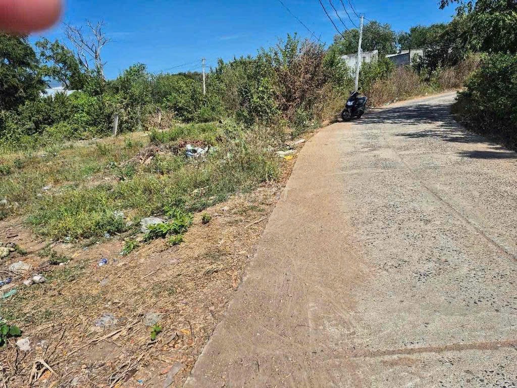 ĐẤT ĐẸP – GIÁ ĐẦU TƯ  - CẦN BÁN LÔ ĐẤT VỊ TRÍ ĐẸP TẠI Xã Hải Ninh, Huyện Bắc Bình, Bình Thuận 15975440