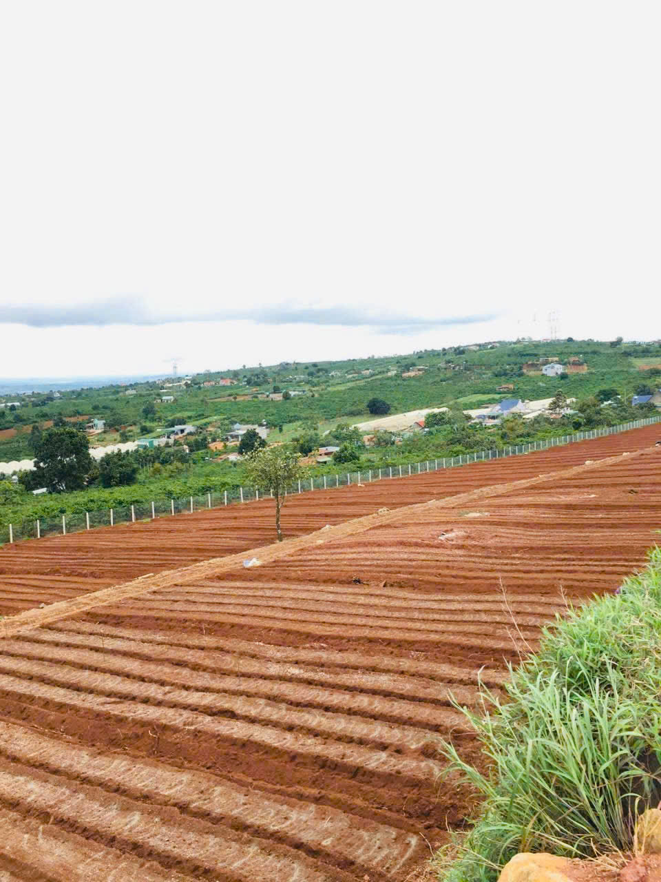 HOT !!! SỞ HỮU NGAY LÔ ĐẤT ĐẸP - GIÁ TỐT - Vị Trí Đắc Địa Tại Lâm Hà, Lâm Đồng 15975457