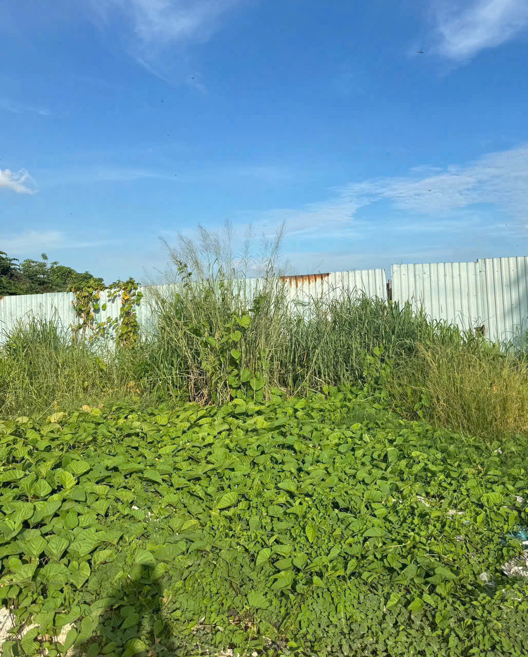 SIÊU QUỸ ĐẤT MẶT TIỀN RẠCH VƯỜN LÀI – AN PHÚ ĐÔNG Q12 – GẦN 3.800M² 15975527