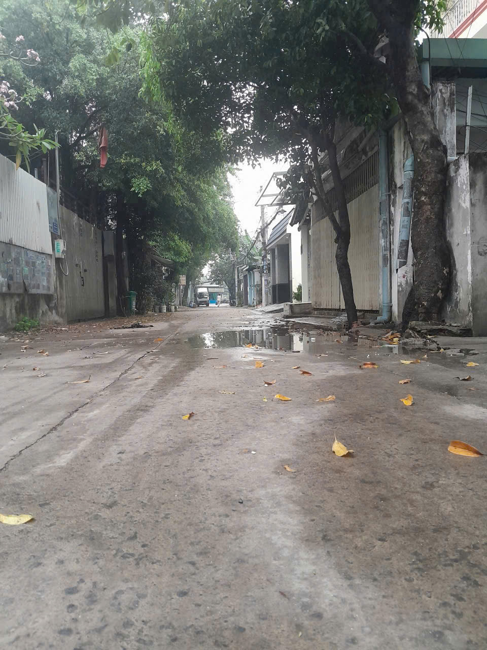 BÁN ĐẤT 2 LÔ ĐẤT F0 – TẶNG DÃY TRỌ – MẶT TIỀN ĐƯỜNG 7M THÔNG TUÂN XUÂN 9 15975529