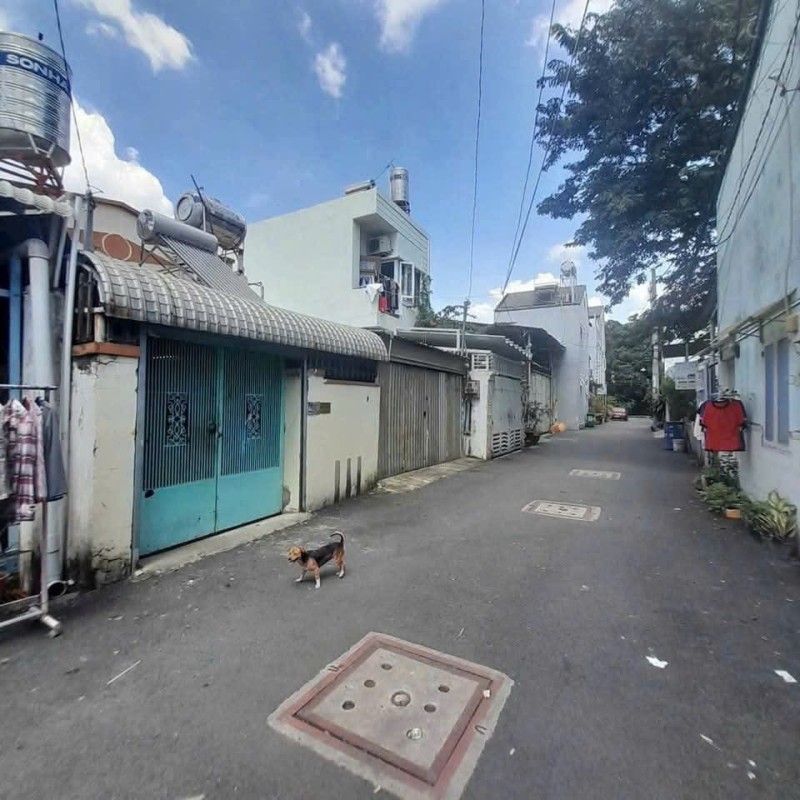 Bán nhà trong ngõ đường số 11, Trường Thọ, Thủ Đức, TP HCM - Dt 102m2, cấp 4. Giá 7,15 tỷ - Sổ Hồng 15975562