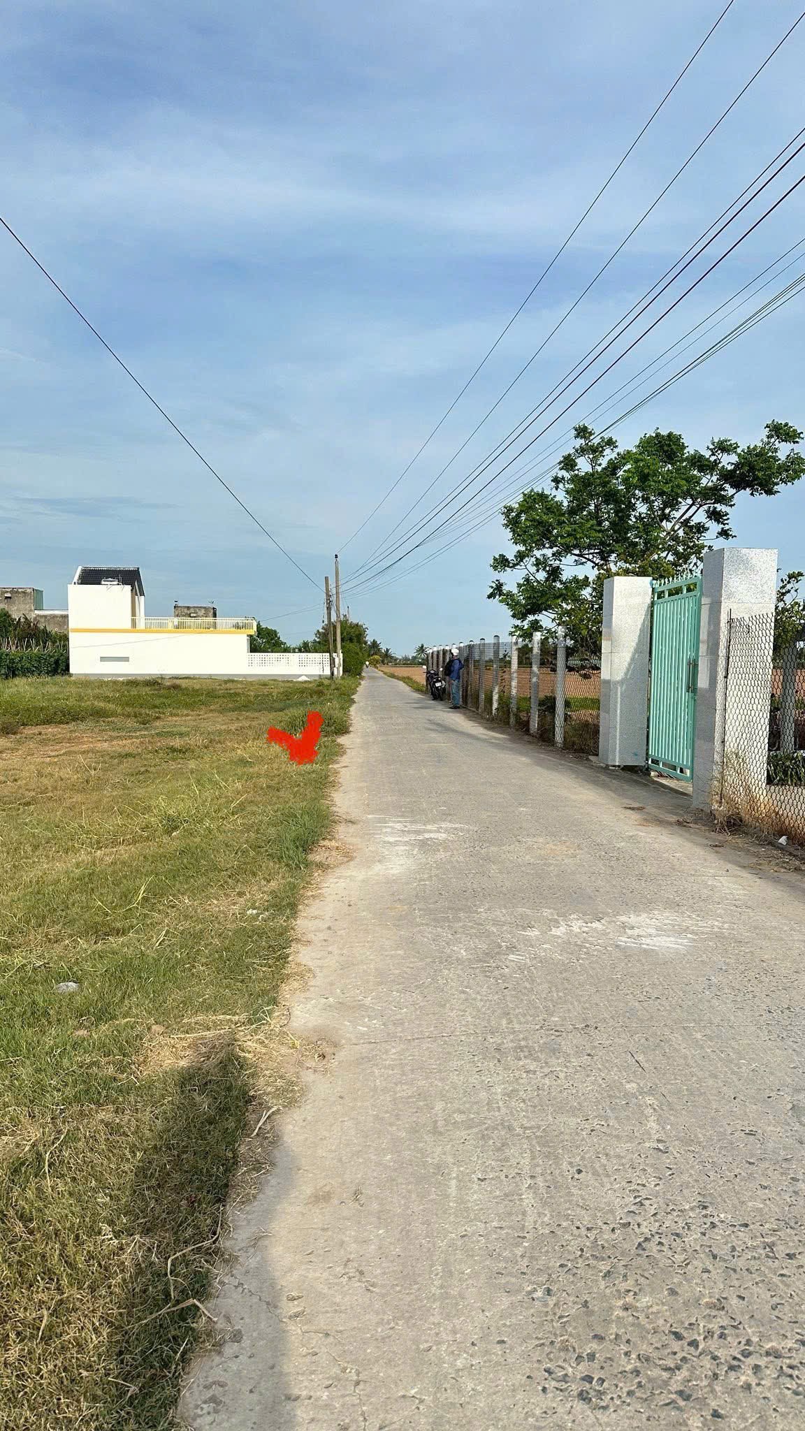 ĐẤT ĐẸP – GIÁ TỐT  – CHÍNH CHỦ CẦN BÁN tại ấp Nam, Tần Điền, Gò Công Đông, Tiền Giang 15975599