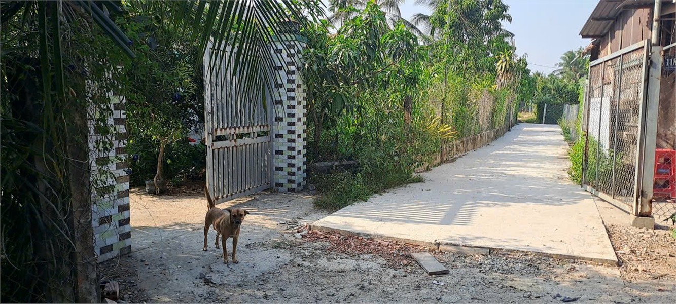 BÁN ĐẤT TẠI Khu phố long hòa a , phường Đạo Thạnh tp mỹ Tho tỉnh Tiền Giang giờ là Đồng Tháp mới. 15975604