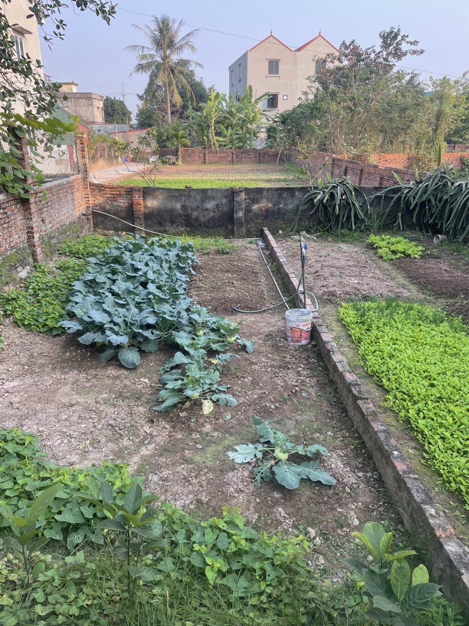 CHÍNH CHỦ CẨN BÁN ĐẤT 45 M2 KIM SƠN - GIA LÂM, GIA 2.65 TỶ, LH 0985865658 15975632