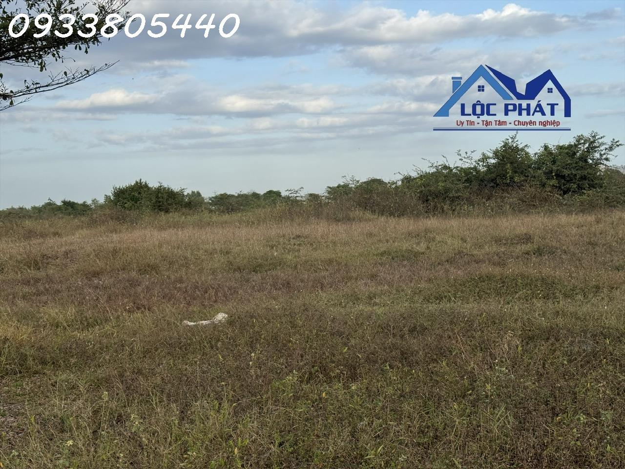 Bán đất KCN Bình Thuận 1 ha đến 400 ha chỉ 75 usd/m2 15975743