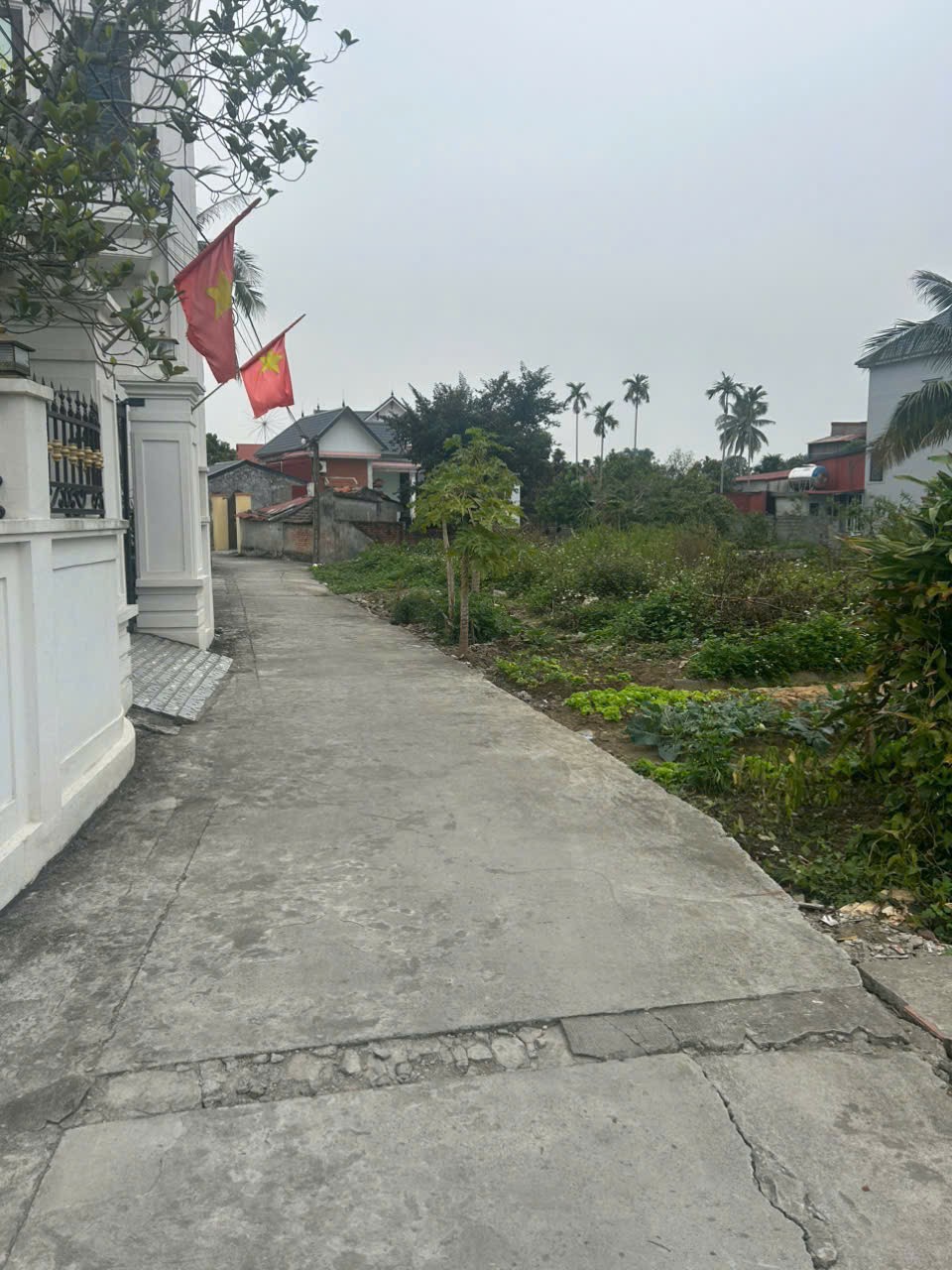 LÔ ĐẤT XUÂN CHIẾNG – NGŨ PHÚC – Ô TÔ TẬN ĐẤT – GIÁ 8XX TRIỆU  ZALO 0567 222 555 15975757