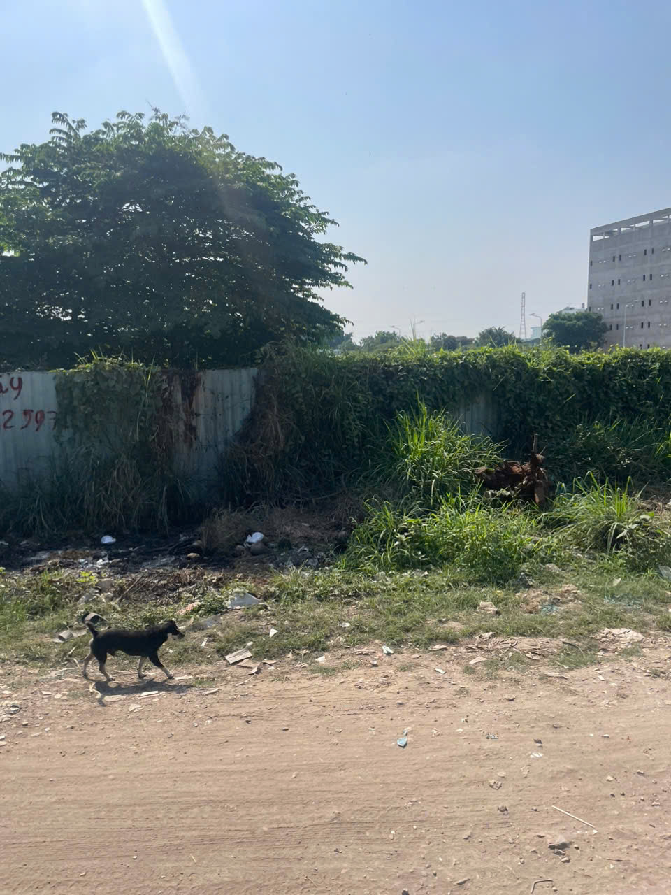 SIÊU PHẨM ĐẤT MẶT TIỀN RẠCH VƯỜN LÀI, Q.12 GẦN QL1A – DT KHỦNG – THỔ CƯ GẦN 3.000m² 15975811