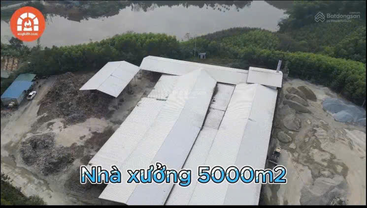 BÁN NHÀ XƯỞNG & DÂY CHUYỀN MÁY MÓC VIÊN NÉN GỖ HUYỆN HẠ HÒA, PHÚ THỌ 15975916