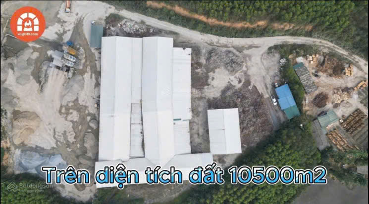 BÁN NHÀ XƯỞNG & DÂY CHUYỀN MÁY MÓC VIÊN NÉN GỖ HUYỆN HẠ HÒA, PHÚ THỌ 15975916