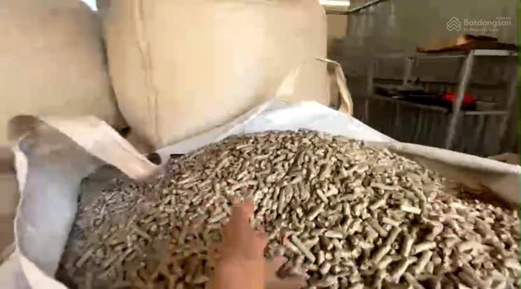 BÁN NHÀ XƯỞNG & DÂY CHUYỀN MÁY MÓC VIÊN NÉN GỖ HUYỆN HẠ HÒA, PHÚ THỌ 15975916