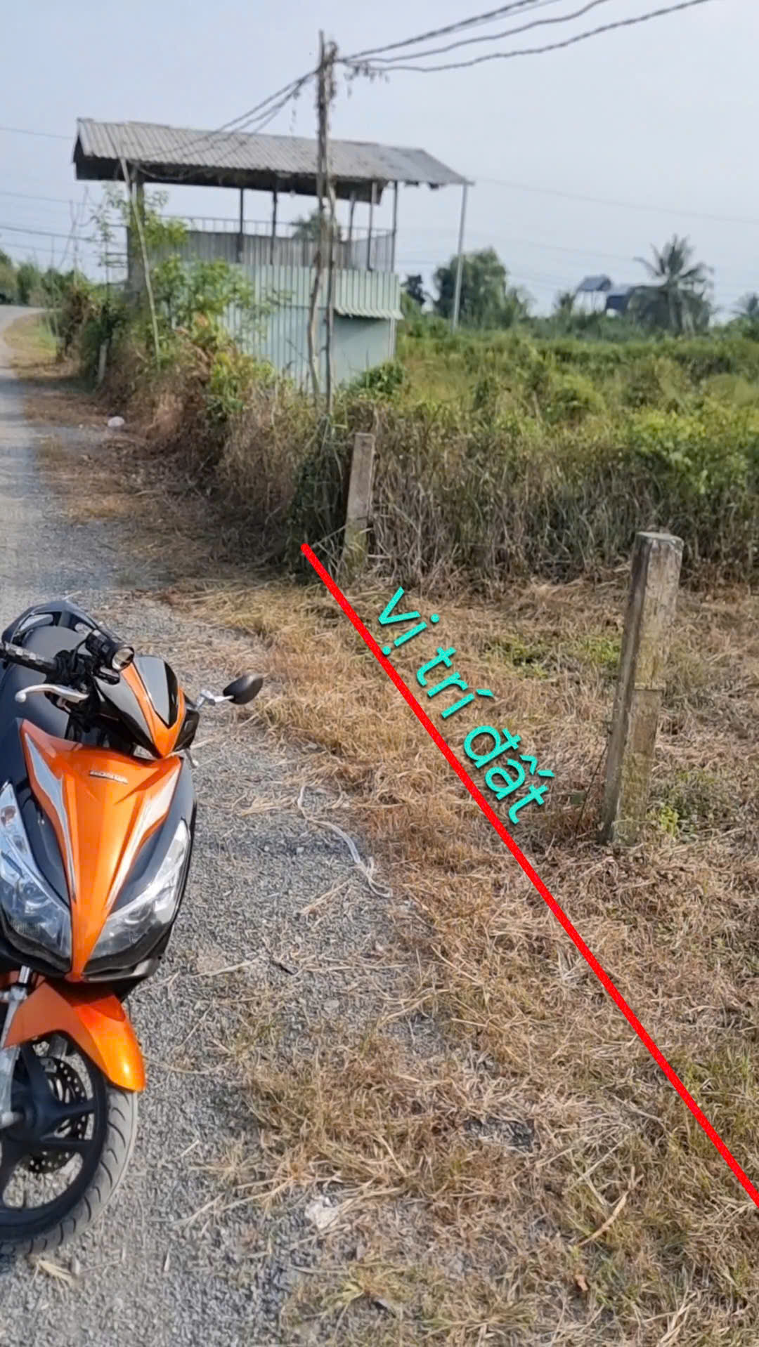 SIÊU PHẨM ĐẤT VƯỜN THỔ CƯ – GIÁ TỐT NHẤT KHU VỰC THỦ THỪA 15975927