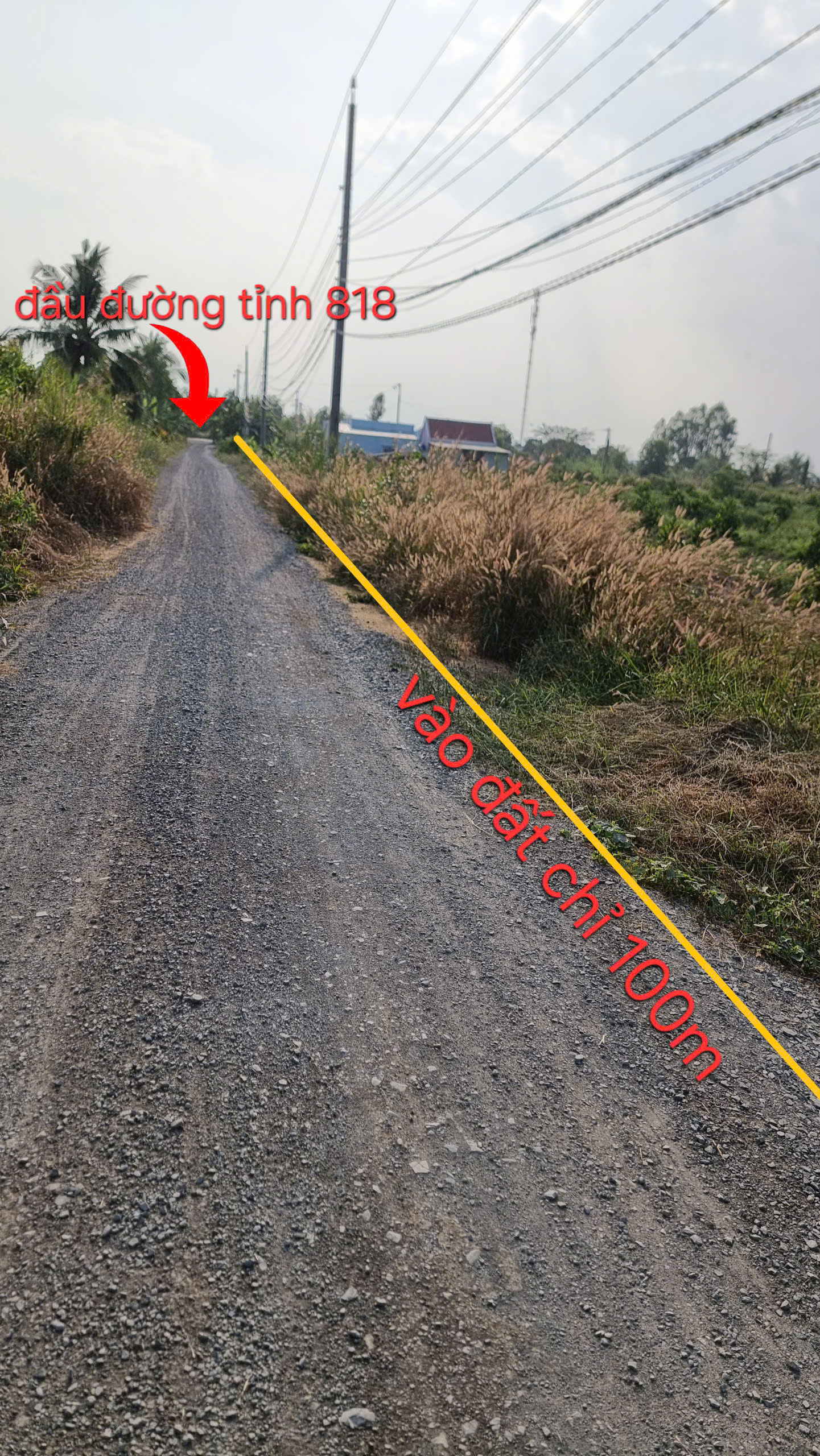 SIÊU PHẨM ĐẤT VƯỜN THỔ CƯ – GIÁ TỐT NHẤT KHU VỰC THỦ THỪA 15975927