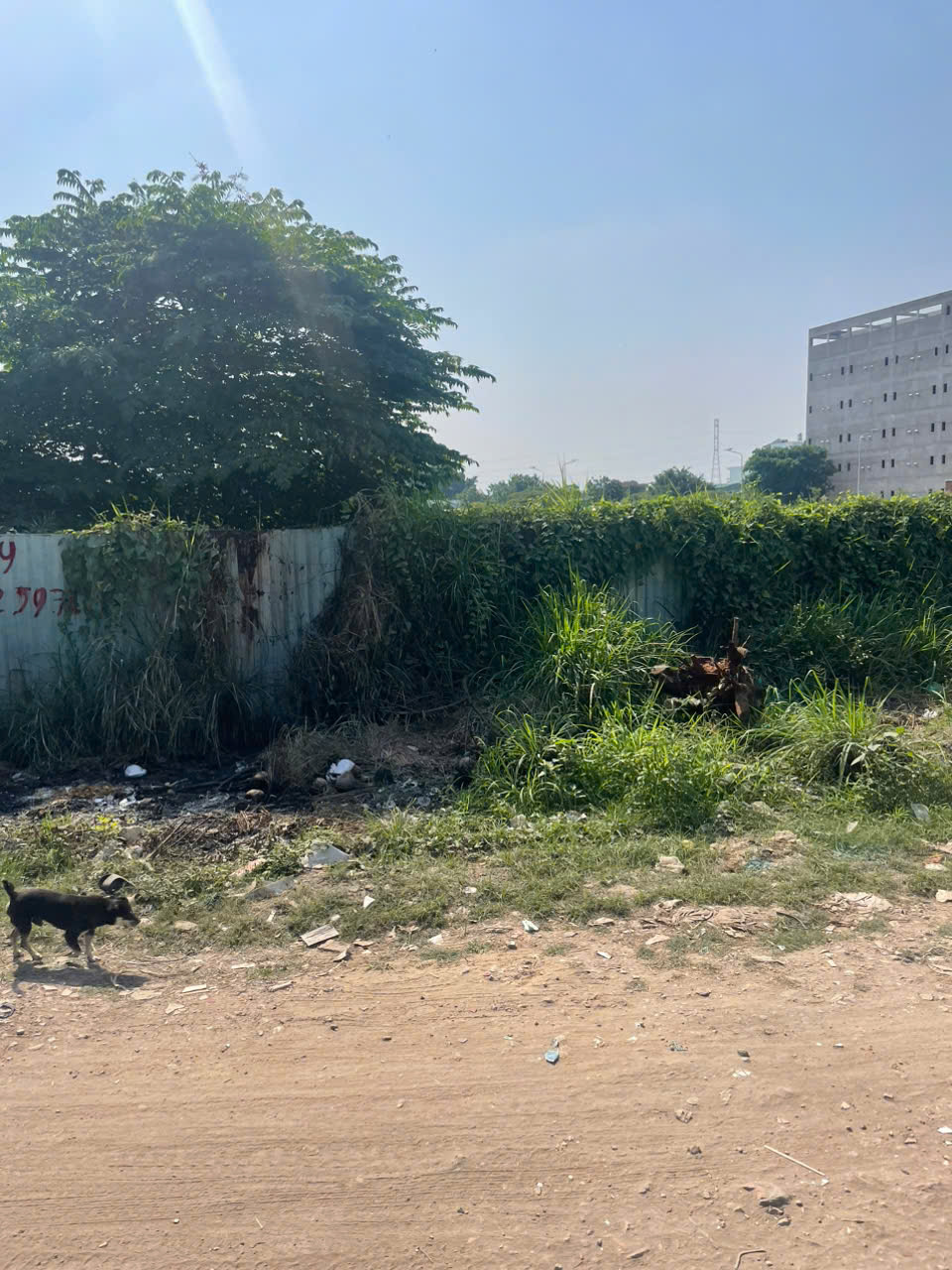 Cần bán lô đất MT Rạch Vườn Lài, vị trí đẹp, cách Vườn Lài nối dài chỉ 200m, cách QL1A 800m 15975988