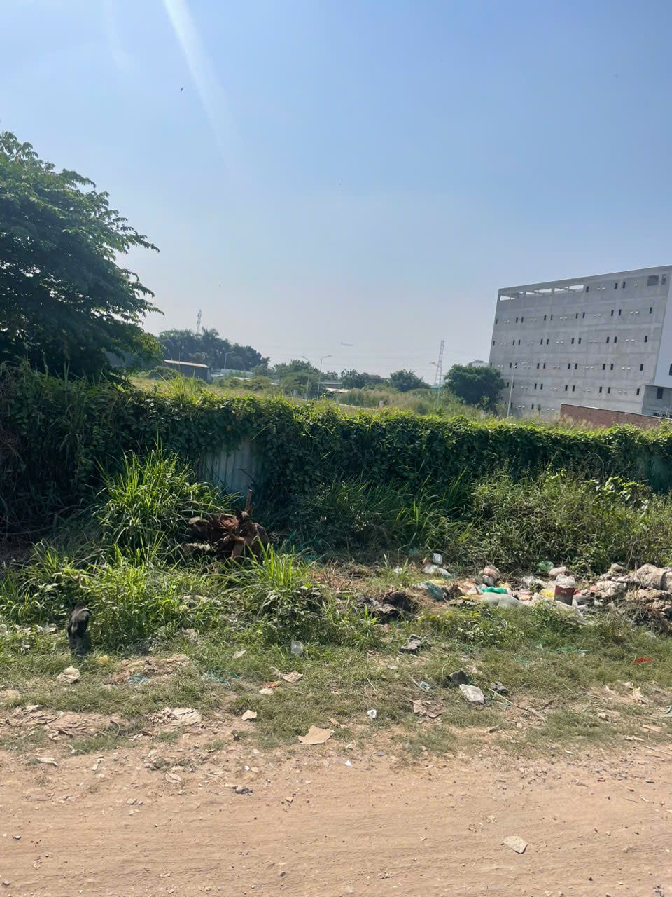 Cần bán lô đất MT Rạch Vườn Lài, vị trí đẹp, cách Vườn Lài nối dài chỉ 200m, cách QL1A 800m 15975988