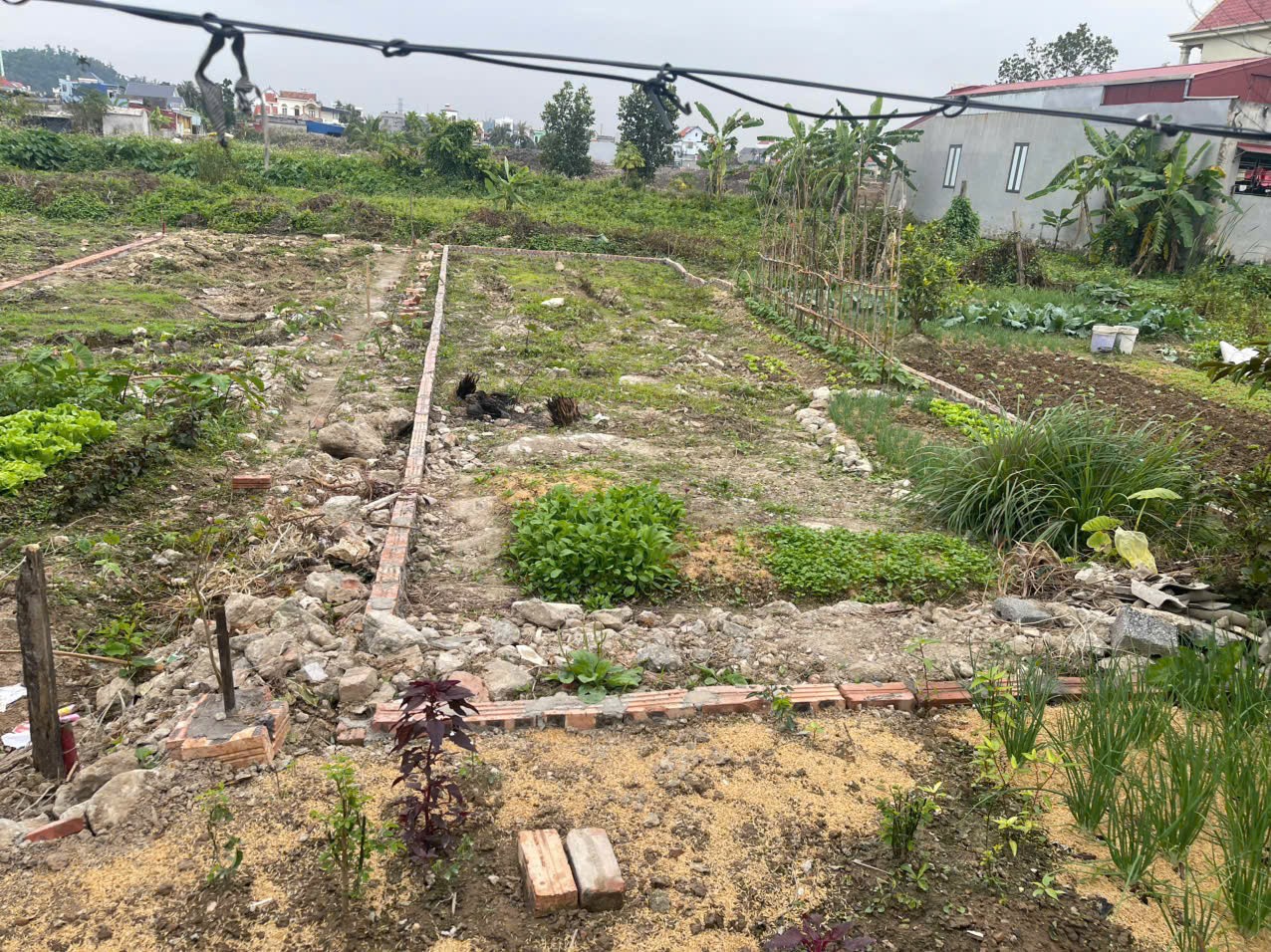 Đất Kim Đới 2 Hữu Bằng – mặt đường nhựa 7,5m – giá đầu tư hiếm  ZALO 0567 222 555 15976066