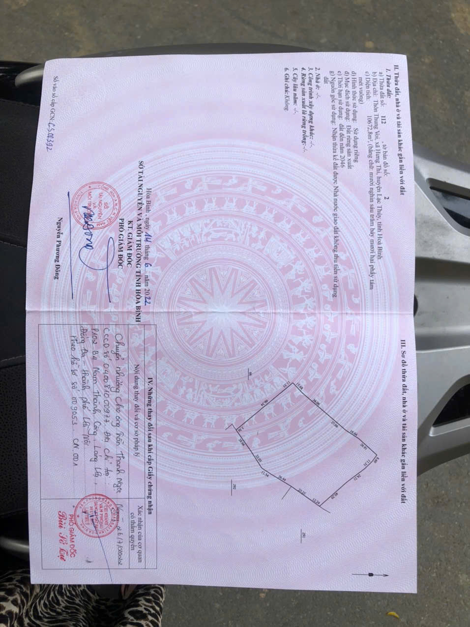 📌 BÁN ĐẤT THEO SỔ ĐỎ – PHÁP LÝ RÕ RÀNG TẠI LẠC THỦY, HÒA BÌNH 15976077