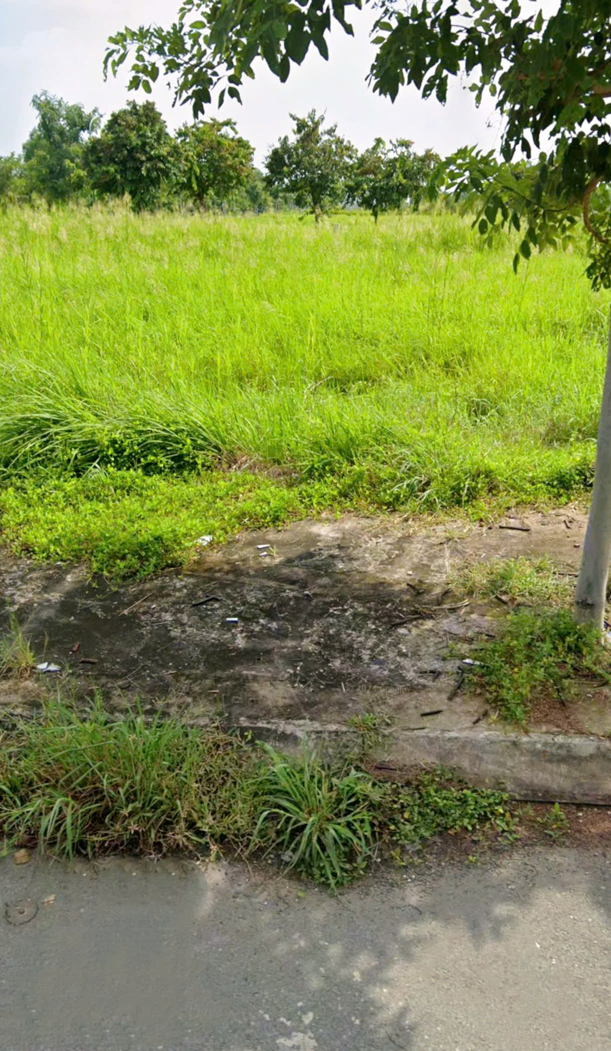 CẦN BÁN 100M2 ĐẤT THỔ CƯ TRONG KDC 47HA AN PHÚ TÂY 15976081