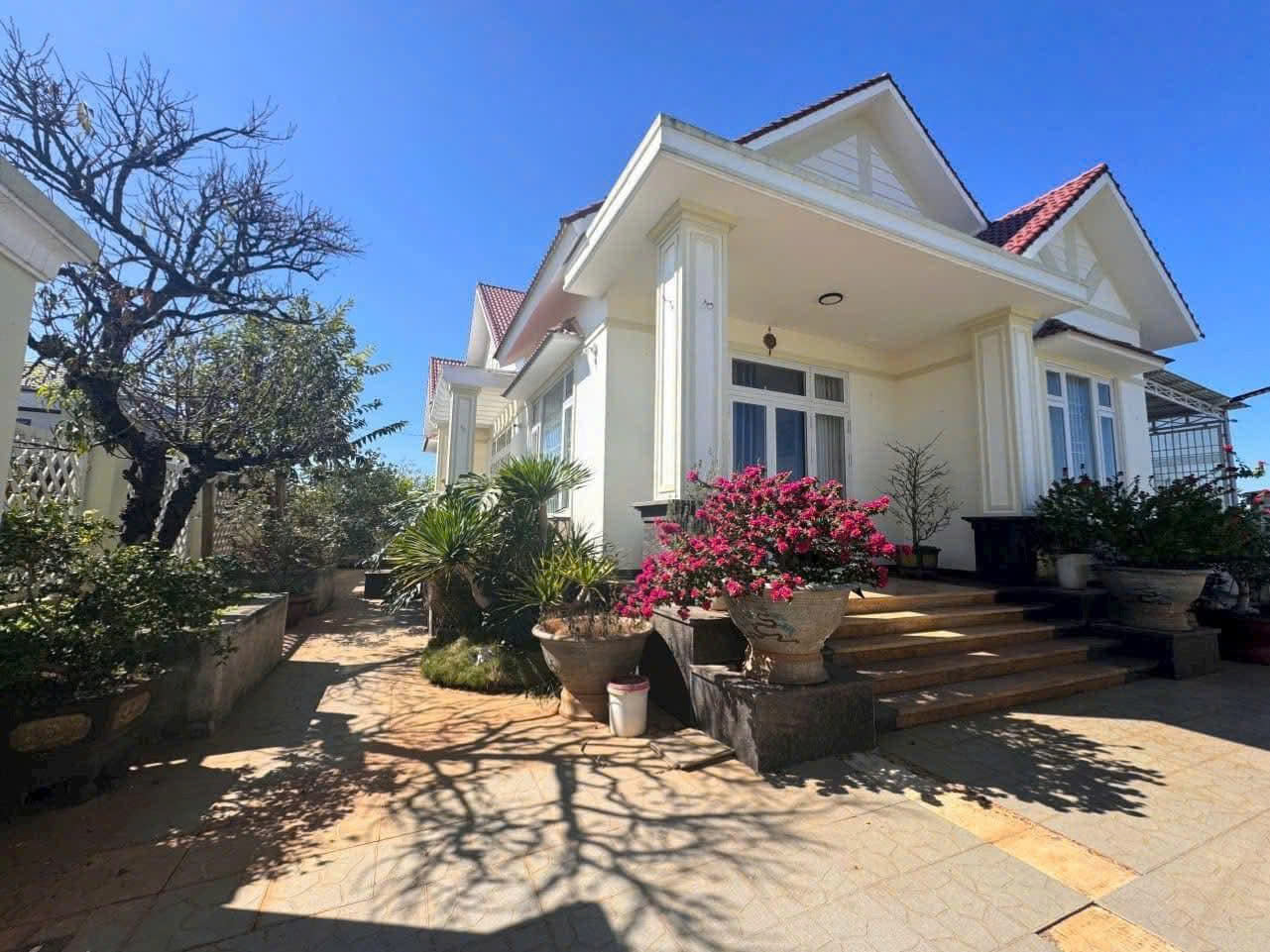 Bán villa sân vườn 1038 m2 - thị trấn liên nghĩa đức trọng lâm đồng  giá 11 Tỷ 15976214