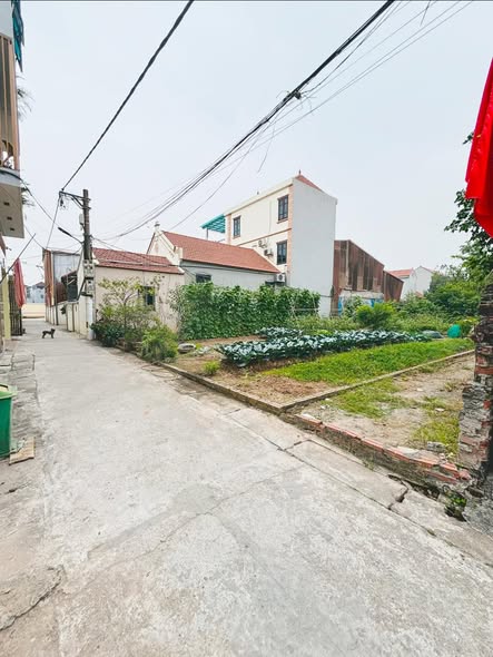 64M ĐẤT LA THẠCH - PHƯƠNG ĐÌNH - ĐAN PHƯỢNG 15976340