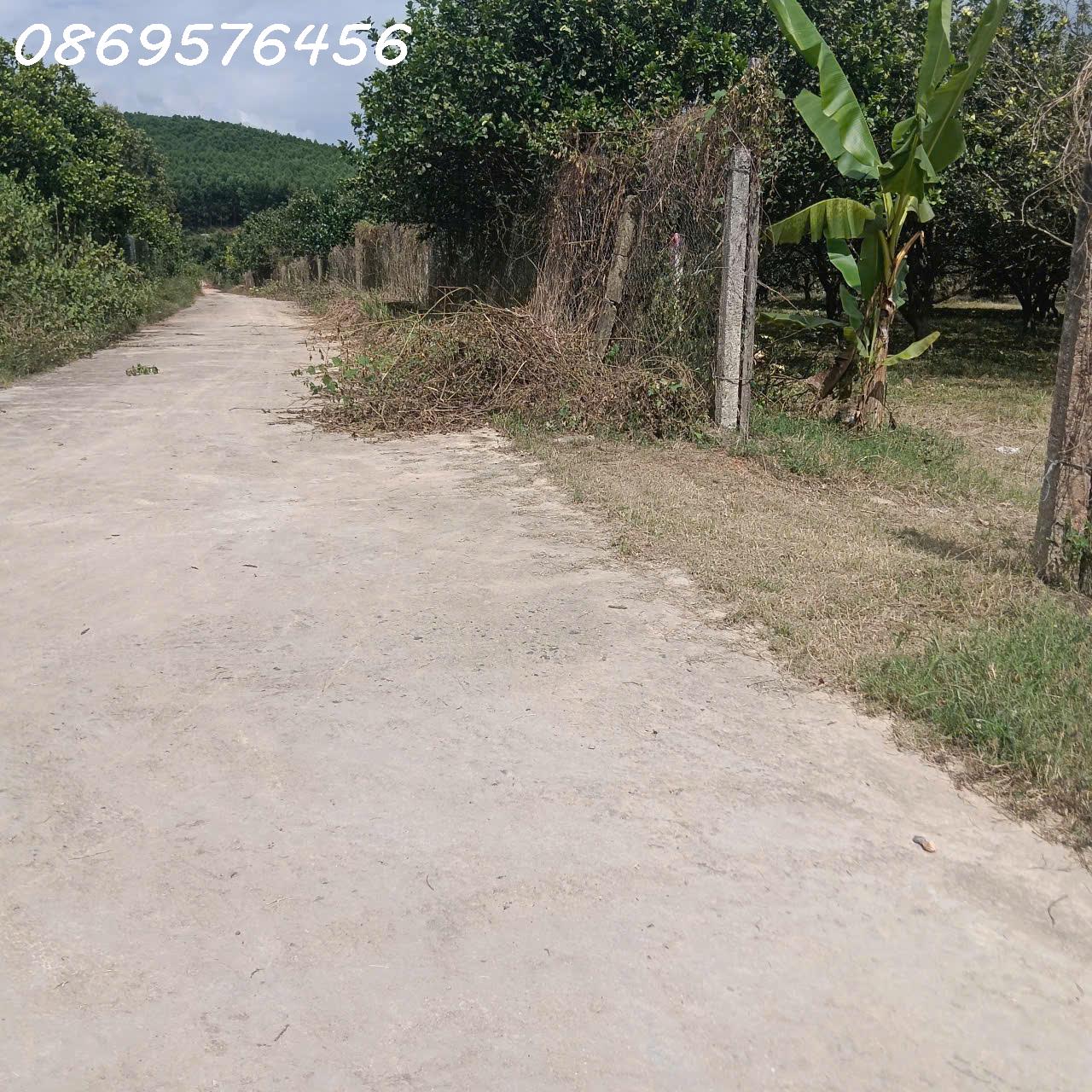 ĐẤT VƯỜN KHÁNH HOÀ CHỈ 150 TRIỆU MÀ SỞ HỮU TỚI 500 MÉT 15976435