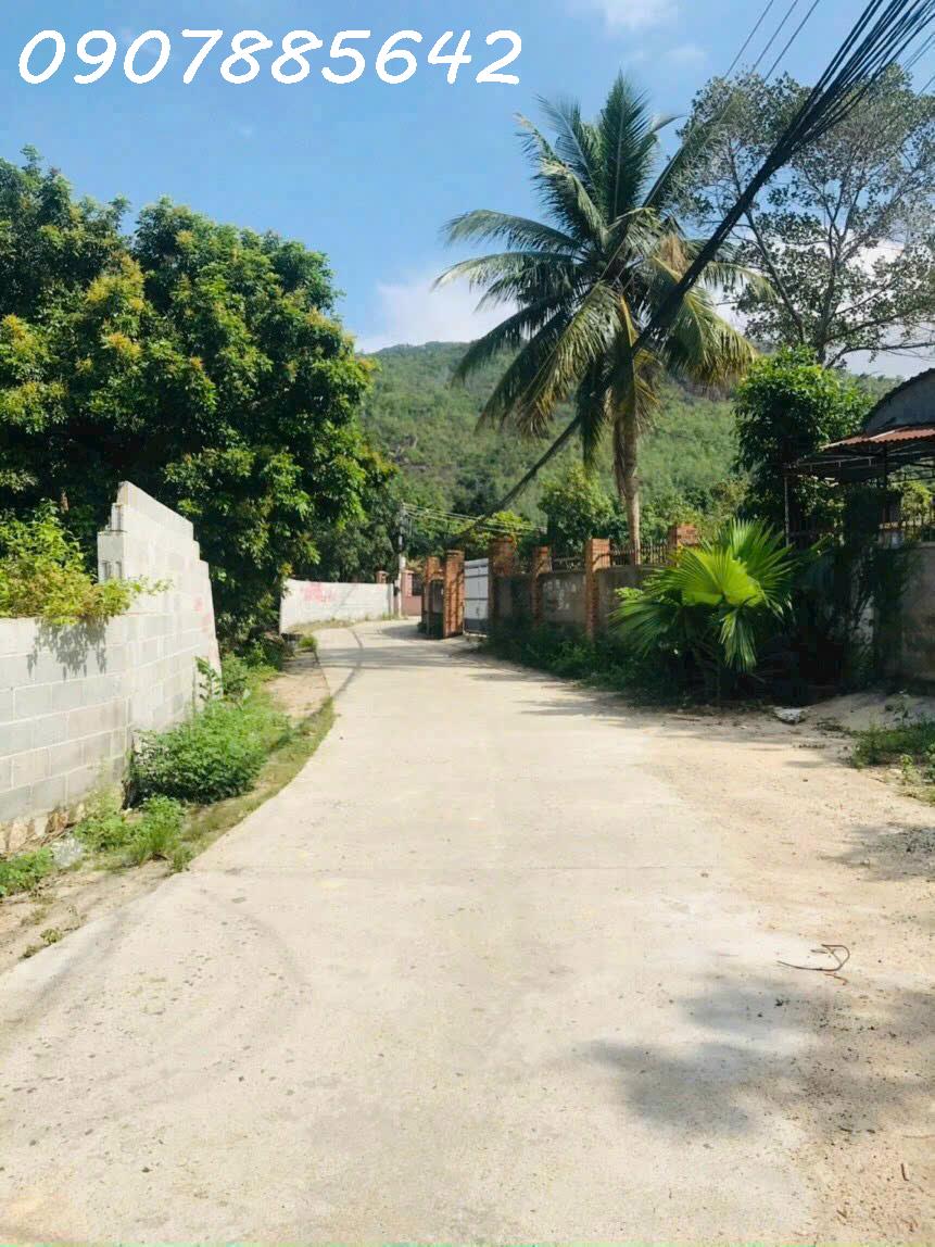 Bán đất ở xã phước đồng nha trang khánh hoà 15976451