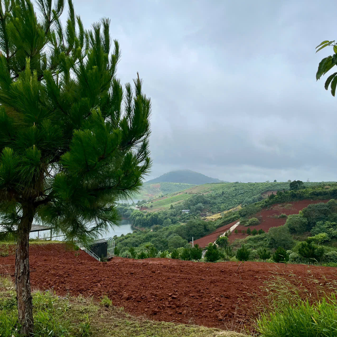 Bán trang trại, khu nghỉ dưỡng 500m2 tại ĐT 725, Xã Lộc Ngãi, Bảo Lâm, Lâm Đồng, 900 triệu 15976496