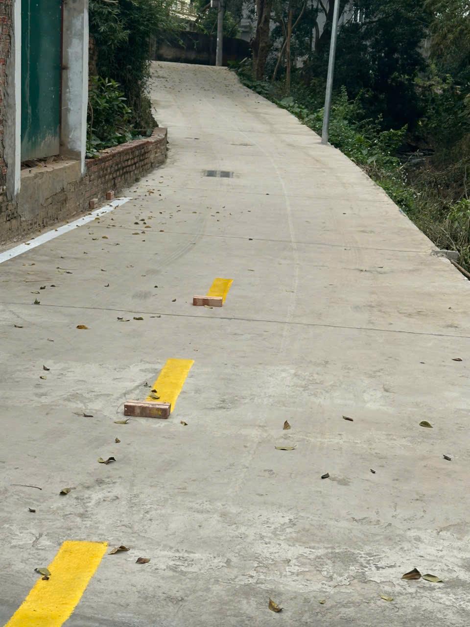 ĐẤT ĐẸP - GIÁ TỐT - Vị Trí Đắc Địa Tại Phú Hữu, Thanh Lâm, Mê Linh, Hà Nội 15976516