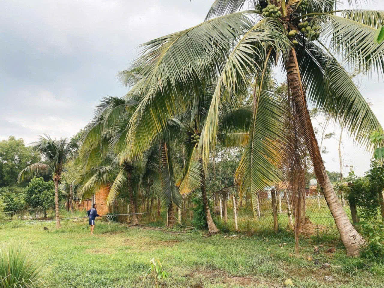 ĐẤT RỘNG PHÚ MỸ HƯNG – CỦ CHI - GIÁ MỀM NGANG LỚN 28M – CÓ 500M² THỔ CƯ 15976524