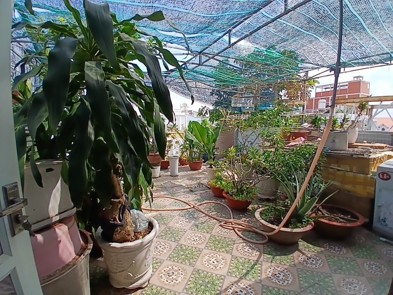 Bán nhà 3 tầng đường Trần Thị Điệu, Phường  Phước Long B, Q9, Thủ Đức, TP HCM. DT - 95m2, 3 tầng. 15976563