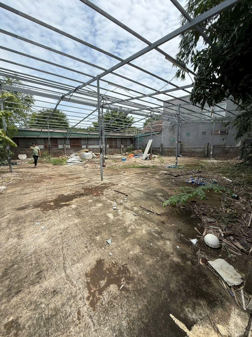 ĐẤT VÀNG TÂN XUÂN – HÓC MÔN - MẶT TIỀN ĐƯỜNG NHỰA – QUY HOẠCH GIÁO DỤC 15976620