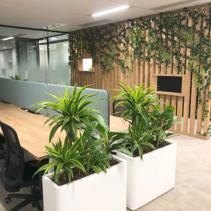 BÁN SÀN VĂN PHÒNG 43m² – LỘC NINH SINGASHINE 15976635