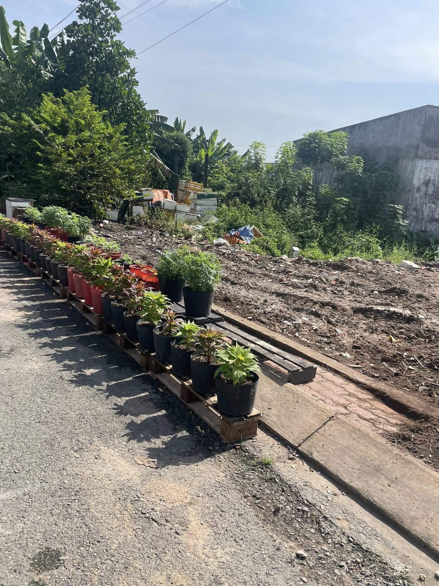 Bán đất mặt tiền 5x19,5m giá 5 tỷ Đường Đông Thạnh 7-3 15976662