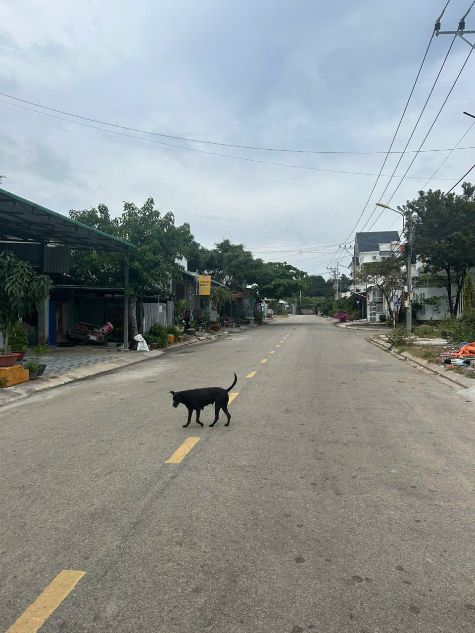 Bán nhà 7m x 14.6m Đường Âu Cơ, LaGi giá rẻ 2.8 tỷ KDC Nguyễn Thái Học 15976758