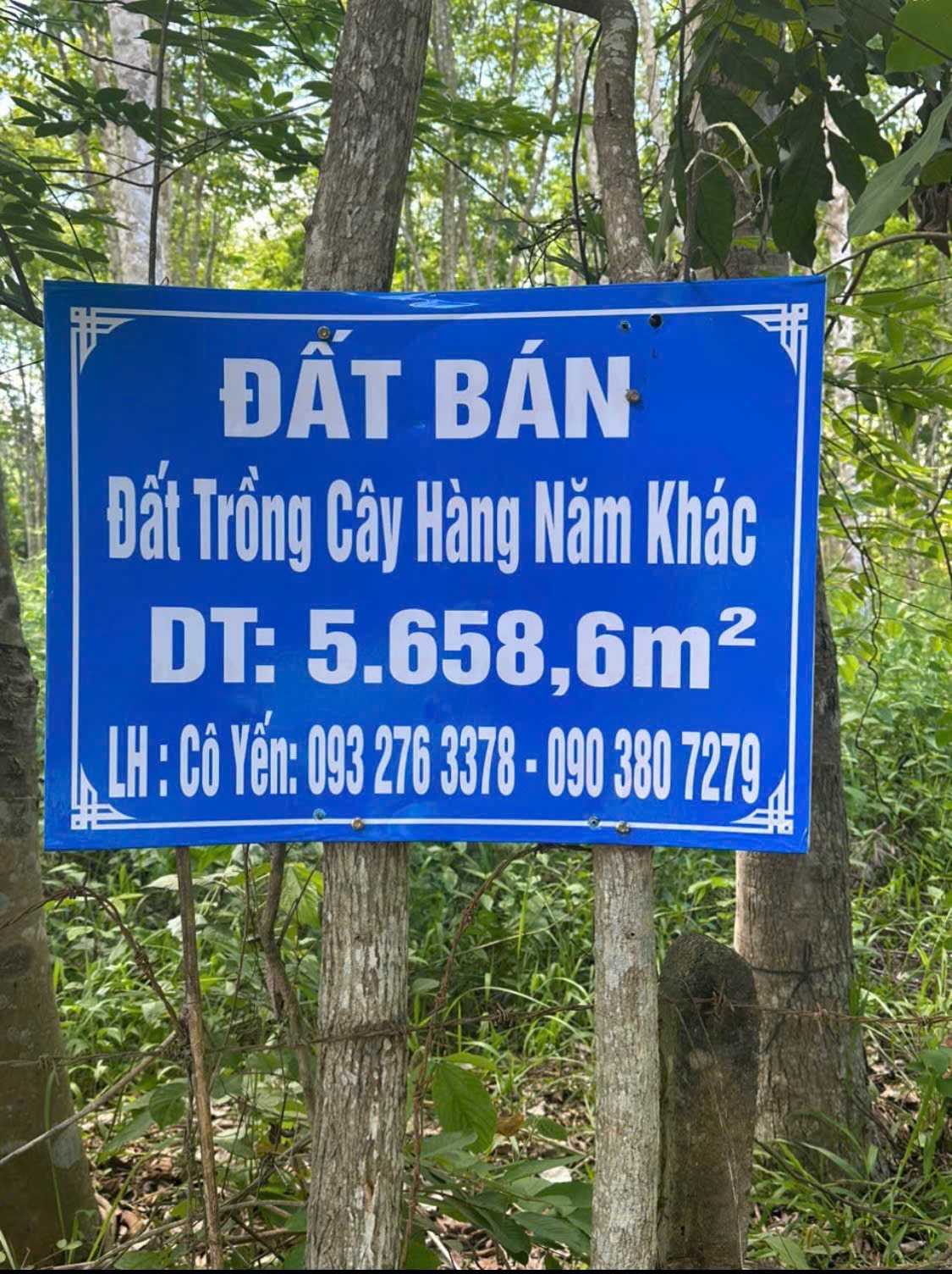 ĐẤT ĐẸP – GIÁ TỐT  – CHÍNH CHỦ CẦN BÁN Tại Đường Liên Xã, Xã Hảo Đước, Châu Thành, Tây Ninh 15976782