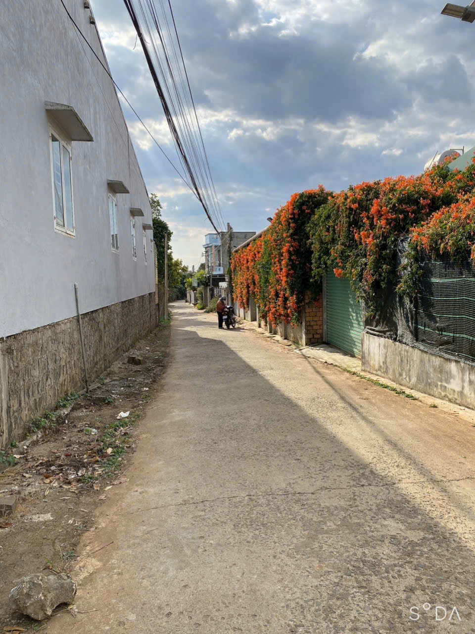 Bán nhà vườn 430m2 - liên hiệp - Đức Trọng - Lâm Đồng 3,8 tỷ 15976854