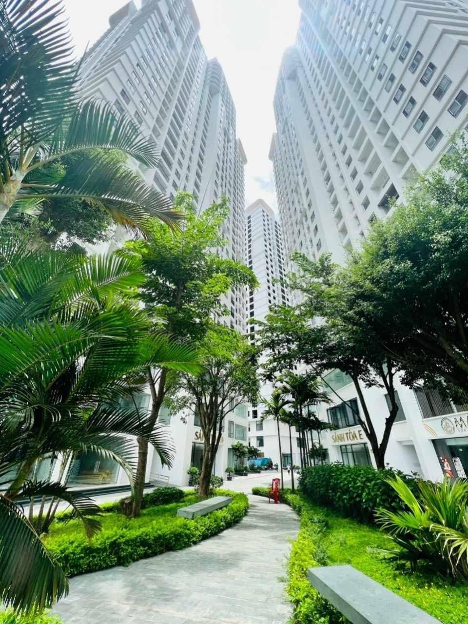 Giảm sâu cuối năm! Có 500tr sở hữu ngay căn 72m², chiết khấu 6% giá chỉ 1.9 tỷ chốt sớm kẻo hết 15976860