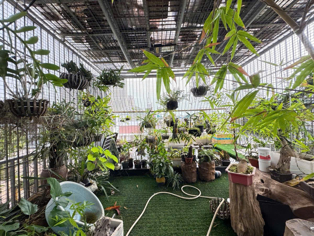 TRỤC TÂY THĂNG LONG-HOÀNG MINH THẢO- TÂY HỒ - BIỆT THỰ CỔ NHUẾ 240M2- ~ 70 TỶ 15976989