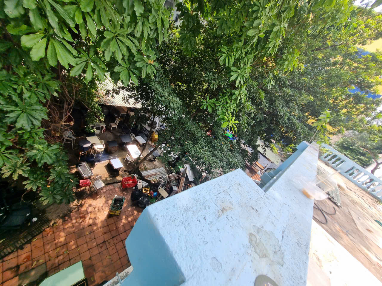 Cho thuê Biệt thự sân vườn 306 Nguyễn Trọng Tuyển, P1, Quận Tân Bình 15977057