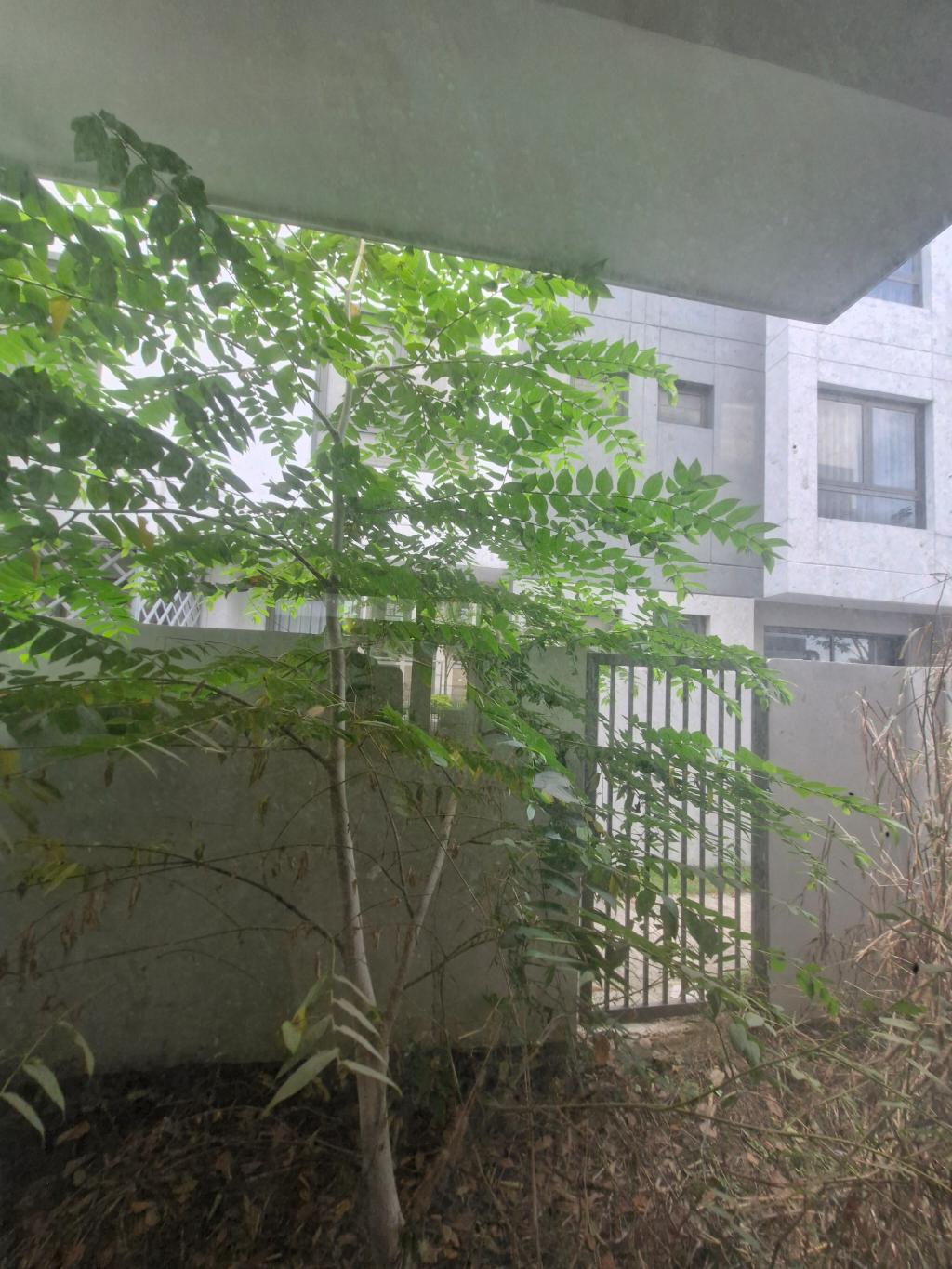 Nhà Linh Xuân Thủ Đức  - 90m2 - 4 Tầng - Chỉ hơn 5.5 Tỷ. 15977238