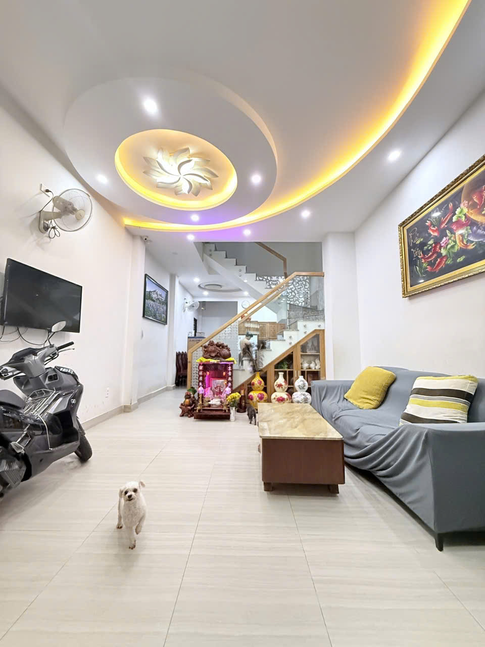 Sát Mặt tiền - CMT8 - Quận 10 -  4 tầng - 53m2 - hoàn công - 11.8 Tỷ 15977303