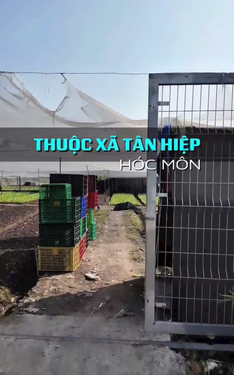 CCG ĐẤT TÂN HIỆP HÓC MÔN – SÁT CẠNH KHU BIỆT THỰ – GIÁ CHỈ 10TR/M² 15977391